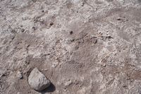 
DSC00061